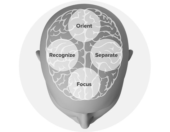 Illustration of brain and how we hear